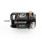 Preview: RUDDOG Racing RP543 6.0T 540 Sensored Brushless Motor