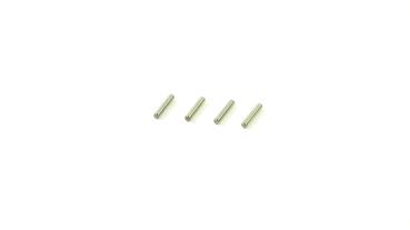 SWORKz Stift M2.0x10mm (4)