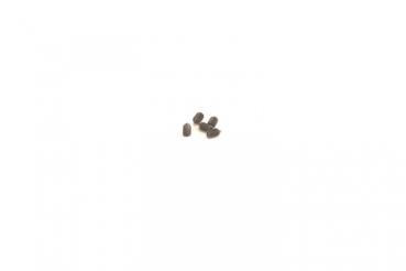 SPEED PACK - M2.5x4 Cone Grub Screw (pk5)