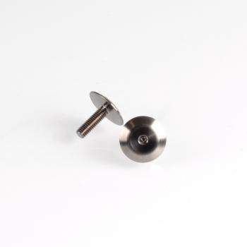 Revolution Design Titanium Rear Wing Mount Screws (2)