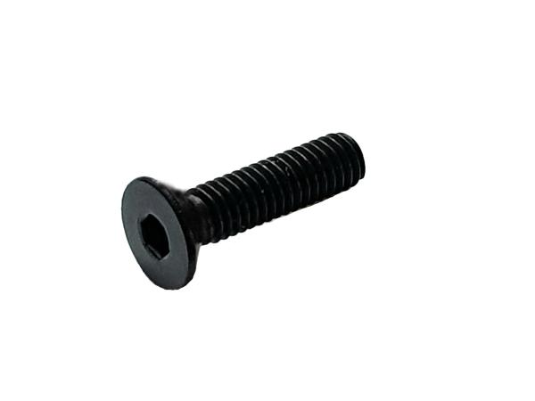 M2.5 x 10mm Countersunk Screw (10 pcs)