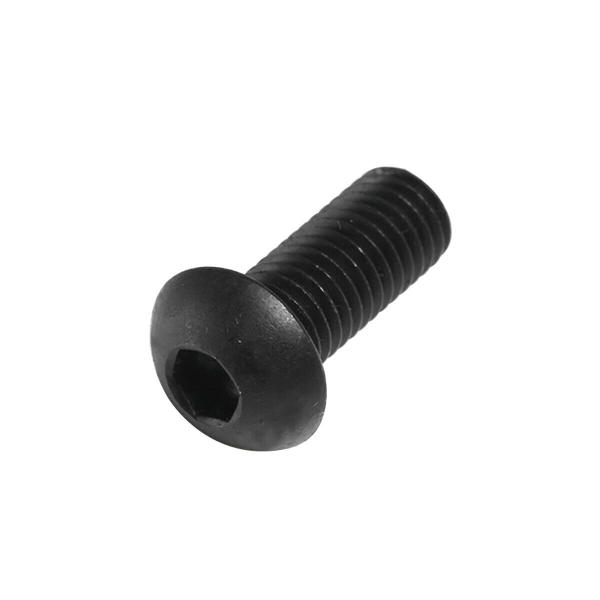 M3 x 10mm Linsenkopfschraube (10 Stück)