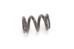 Slipper Spring Twin Plate - 2WD/4WD