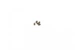 SPEED PACK - M2.5x4 Cone Grub Screw (pk5)
